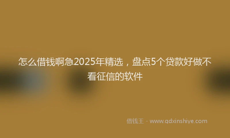 怎么借钱啊急2025年精选，盘点5个贷款好做不看征信的软件