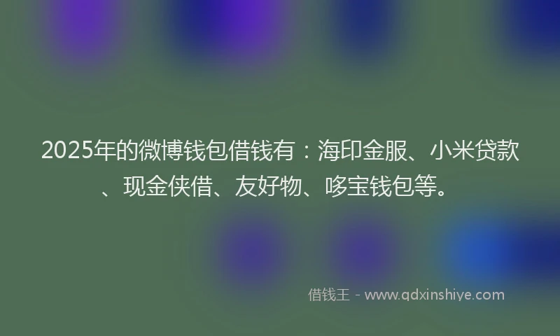 2025年的微博钱包借钱有：海印金服、小米贷款、现金侠借、友好物、哆宝钱包等。