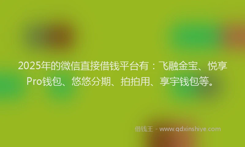 2025年的微信直接借钱平台有：飞融金宝、悦享Pro钱包、悠悠分期、拍拍用、享宇钱包等。