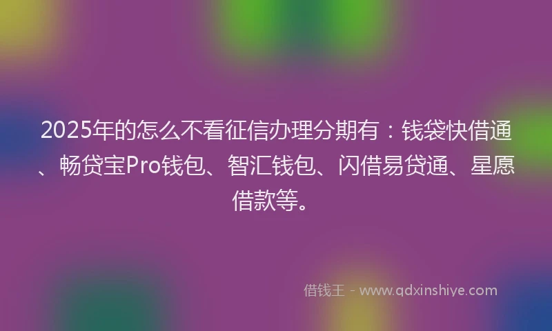 2025年的怎么不看征信办理分期有：钱袋快借通、畅贷宝Pro钱包、智汇钱包、闪借易贷通、星愿借款等。