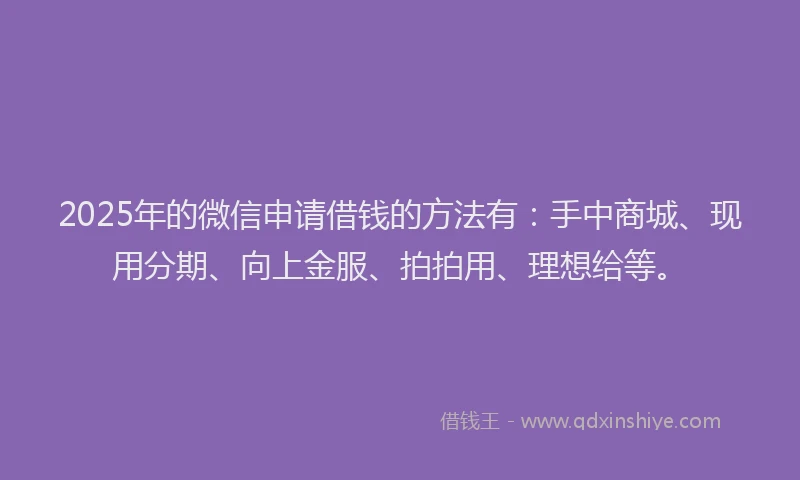2025年的微信申请借钱的方法有：手中商城、现用分期、向上金服、拍拍用、理想给等。