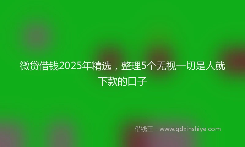 微贷借钱2025年精选，整理5个无视一切是人就下款的口子