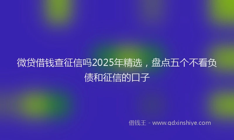 微贷借钱查征信吗2025年精选，盘点五个不看负债和征信的口子