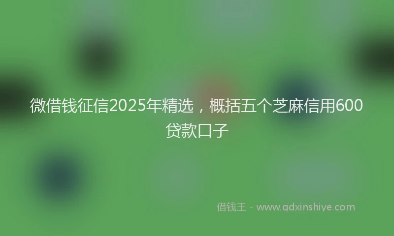 微借钱征信2025年精选，概括五个芝麻信用600贷款口子