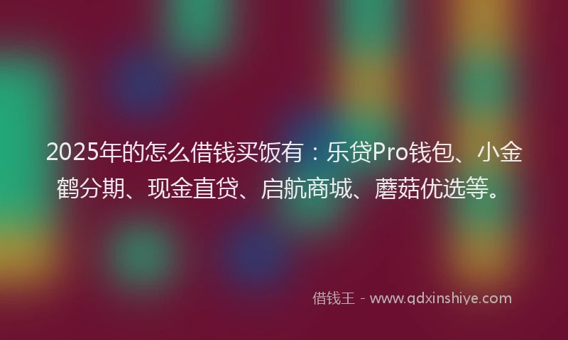 2025年的怎么借钱买饭有：乐贷Pro钱包、小金鹤分期、现金直贷、启航商城、蘑菇优选等。