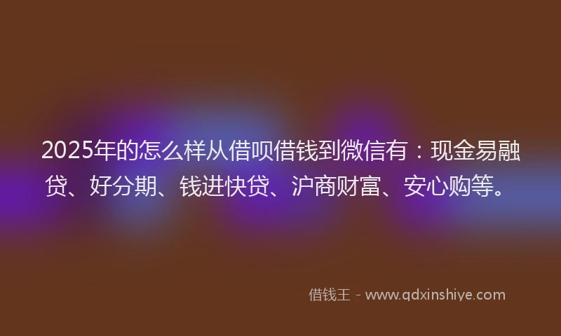 2025年的怎么样从借呗借钱到微信有：现金易融贷、好分期、钱进快贷、沪商财富、安心购等。