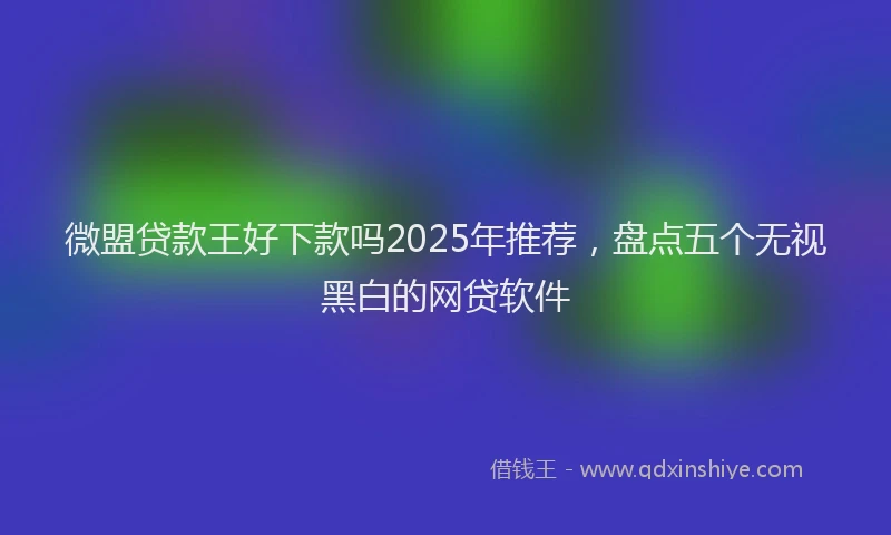 微盟贷款王好下款吗2025年推荐，盘点五个无视黑白的网贷软件