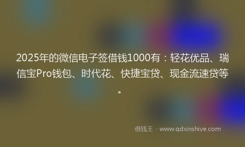 2025年的微信电子签借钱1000有：轻花优品、瑞信宝Pro钱包、时代花、快捷宝贷、现金流速贷等。