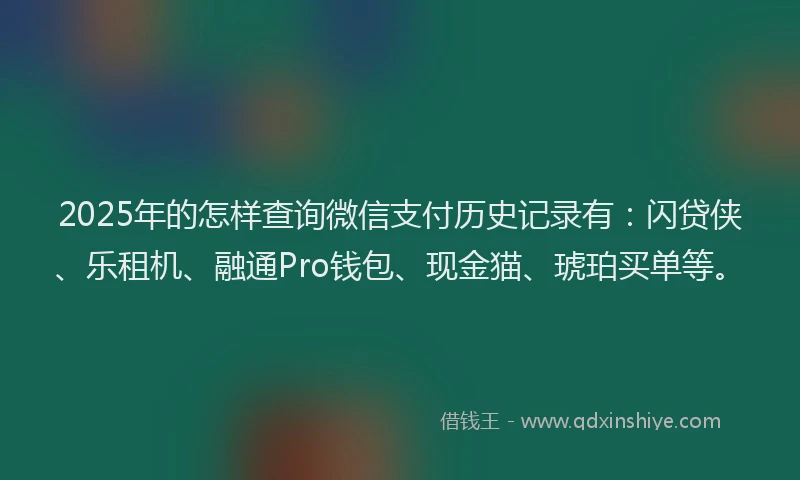 2025年的怎样查询微信支付历史记录有：闪贷侠、乐租机、融通Pro钱包、现金猫、琥珀买单等。