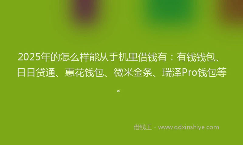 2025年的怎么样能从手机里借钱有：有钱钱包、日日贷通、惠花钱包、微米金条、瑞泽Pro钱包等。