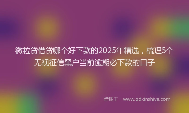 微粒贷借贷哪个好下款的2025年精选，梳理5个无视征信黑户当前逾期必下款的口子