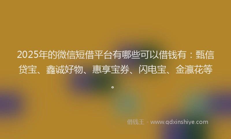2025年的微信短借平台有哪些可以借钱有：甄信贷宝、鑫诚好物、惠享宝券、闪电宝、金瀛花等。