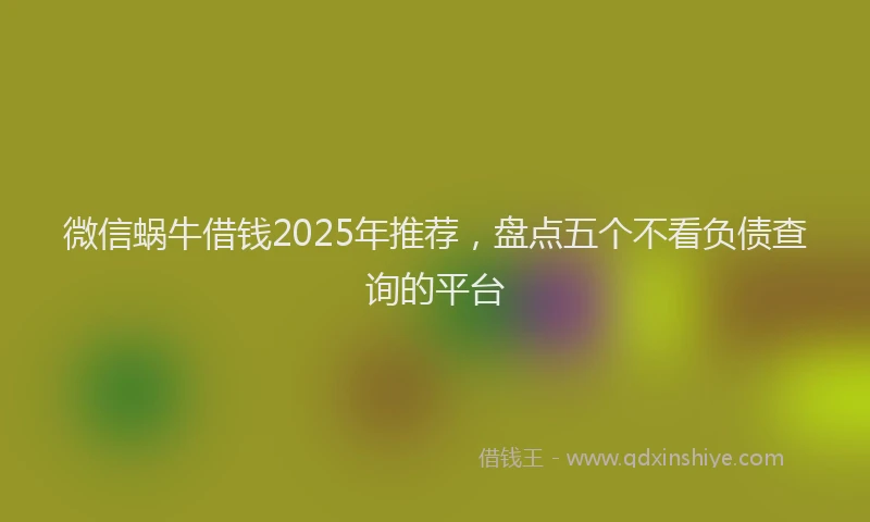 微信蜗牛借钱2025年推荐，盘点五个不看负债查询的平台