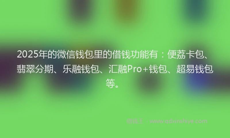 2025年的微信钱包里的借钱功能有：便荔卡包、翡翠分期、乐融钱包、汇融Pro+钱包、超易钱包等。