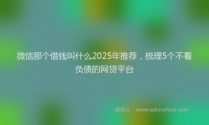 微信那个借钱叫什么2025年推荐，梳理5个不看负债的网贷平台