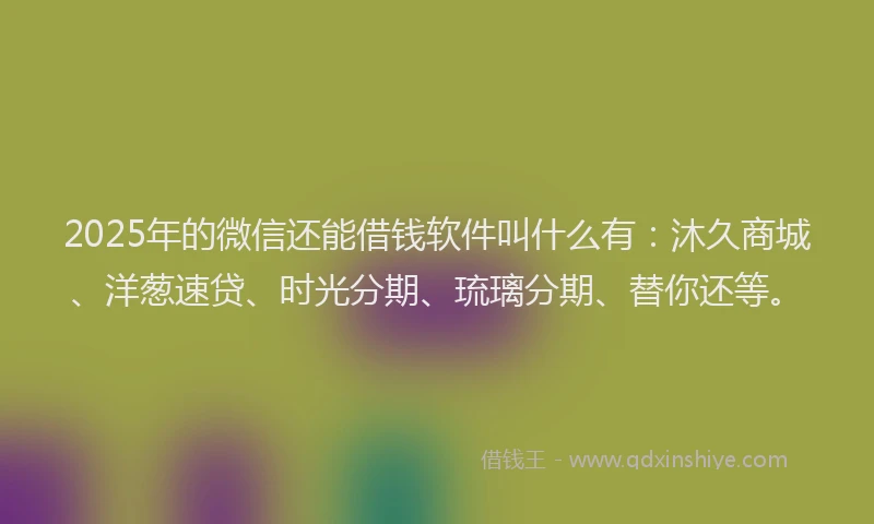 2025年的微信还能借钱软件叫什么有：沐久商城、洋葱速贷、时光分期、琉璃分期、替你还等。