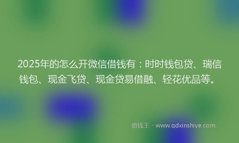 2025年的怎么开微信借钱有：时时钱包贷、瑞信钱包、现金飞贷、现金贷易借融、轻花优品等。