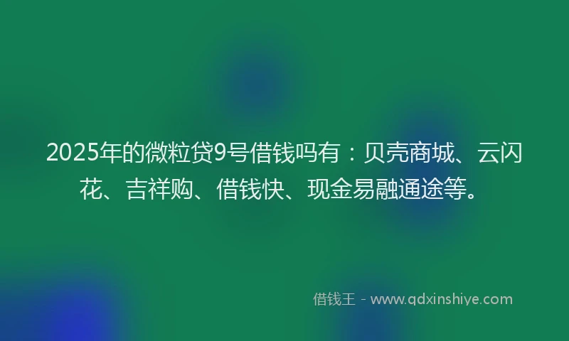 2025年的微粒贷9号借钱吗有：贝壳商城、云闪花、吉祥购、借钱快、现金易融通途等。