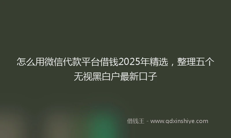 怎么用微信代款平台借钱2025年精选，整理五个无视黑白户最新口子