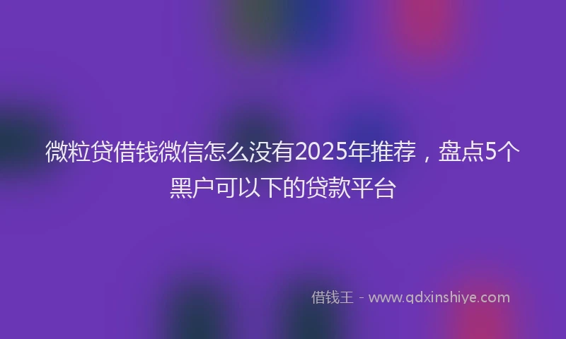 微粒贷借钱微信怎么没有2025年推荐，盘点5个黑户可以下的贷款平台