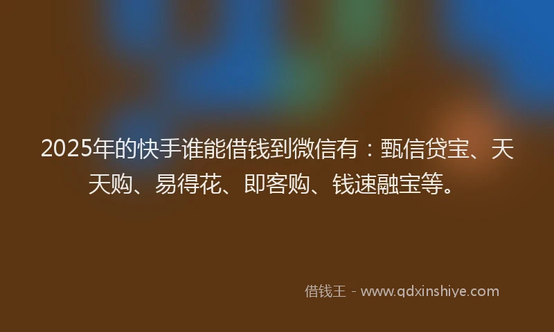 2025年的快手谁能借钱到微信有：甄信贷宝、天天购、易得花、即客购、钱速融宝等。