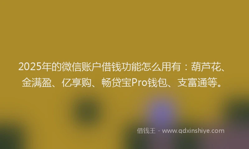 2025年的微信账户借钱功能怎么用有：葫芦花、金满盈、亿享购、畅贷宝Pro钱包、支富通等。