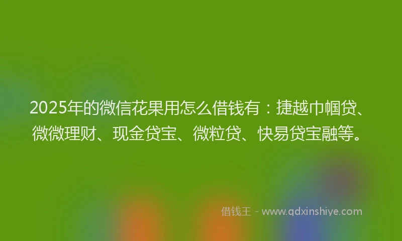 2025年的微信花果用怎么借钱有：捷越巾帼贷、微微理财、现金贷宝、微粒贷、快易贷宝融等。