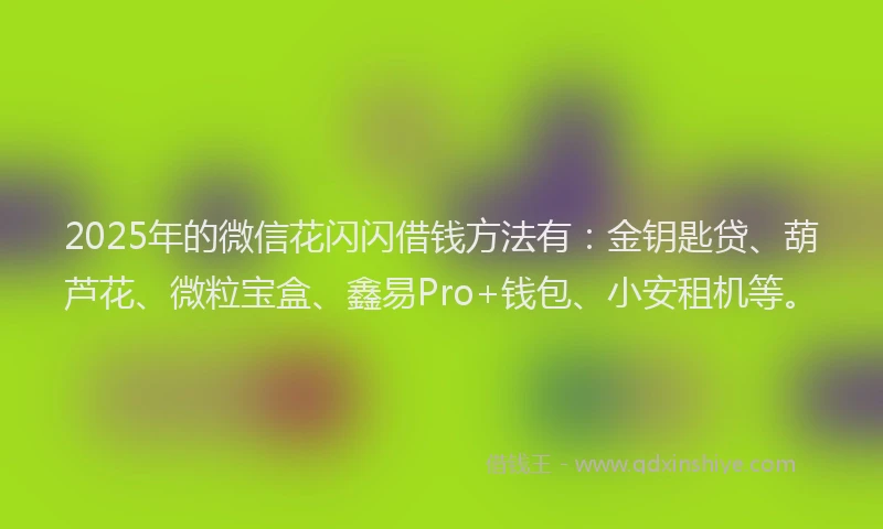 2025年的微信花闪闪借钱方法有：金钥匙贷、葫芦花、微粒宝盒、鑫易Pro+钱包、小安租机等。