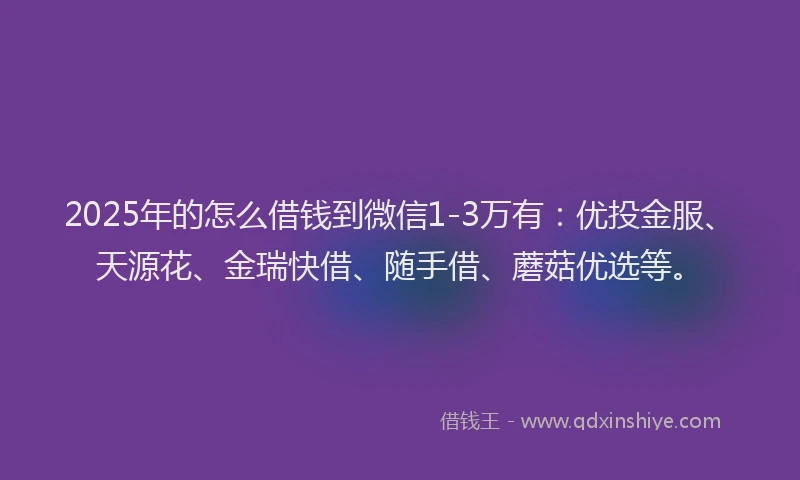 2025年的怎么借钱到微信1-3万有：优投金服、天源花、金瑞快借、随手借、蘑菇优选等。