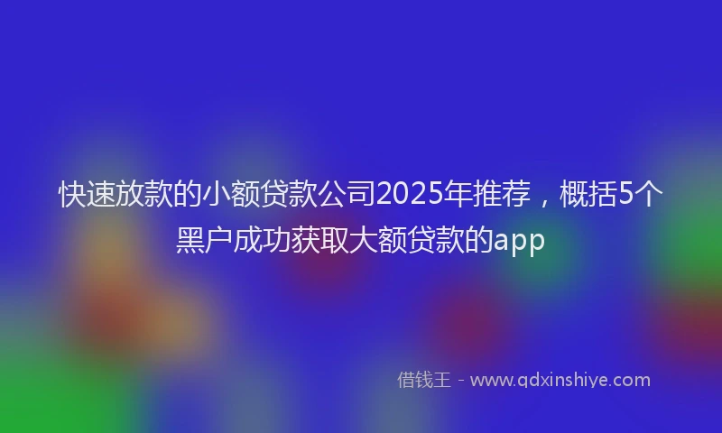 快速放款的小额贷款公司2025年推荐，概括5个黑户成功获取大额贷款的app