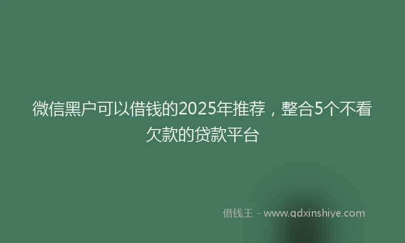 微信黑户可以借钱的2025年推荐，整合5个不看欠款的贷款平台