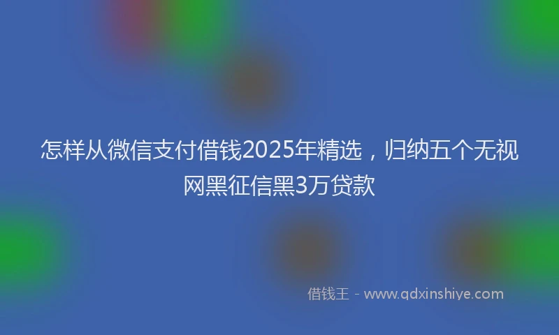 怎样从微信支付借钱2025年精选，归纳五个无视网黑征信黑3万贷款