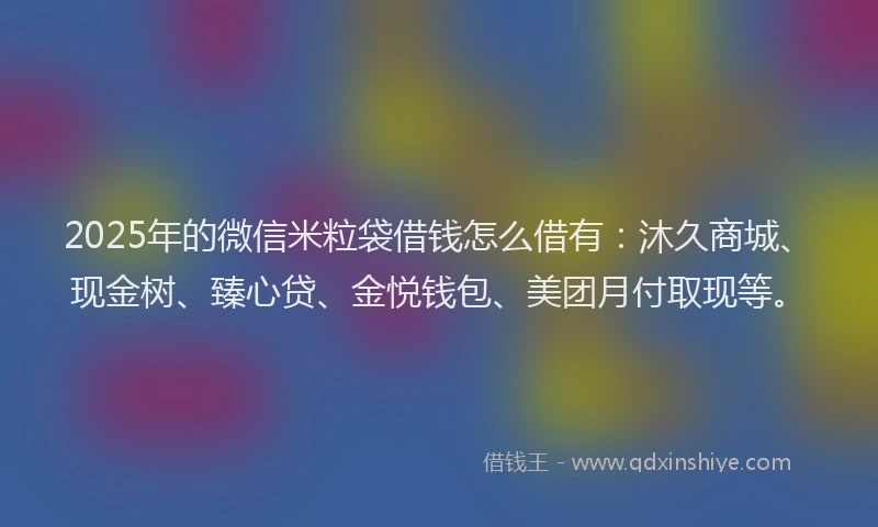 2025年的微信米粒袋借钱怎么借有：沐久商城、现金树、臻心贷、金悦钱包、美团月付取现等。
