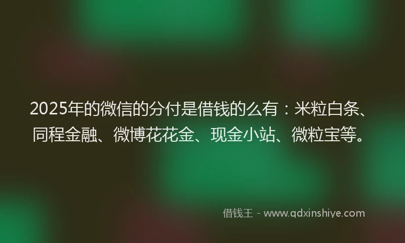 2025年的微信的分付是借钱的么有：米粒白条、同程金融、微博花花金、现金小站、微粒宝等。
