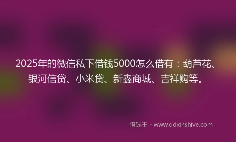 2025年的微信私下借钱5000怎么借有：葫芦花、银河信贷、小米贷、新鑫商城、吉祥购等。