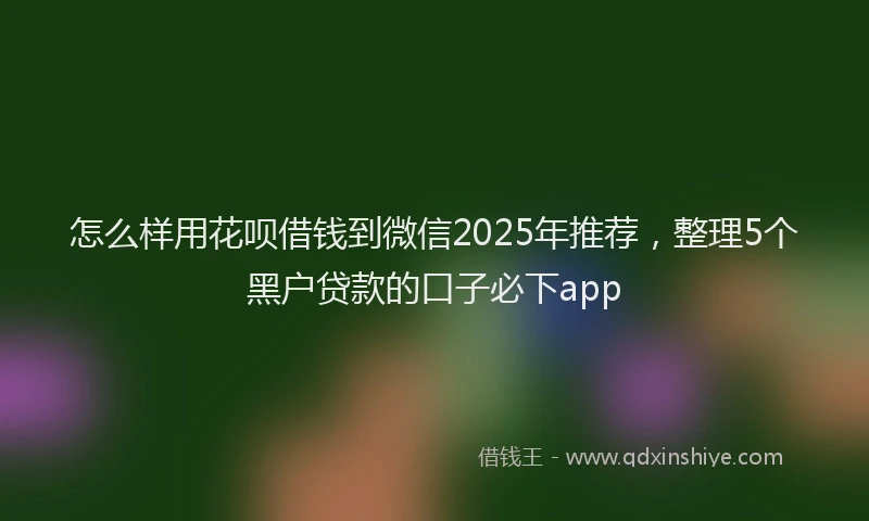 怎么样用花呗借钱到微信2025年推荐，整理5个黑户贷款的口子必下app