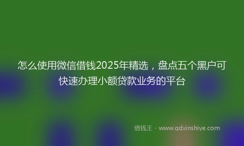 怎么使用微信借钱2025年精选，盘点五个黑户可快速办理小额贷款业务的平台