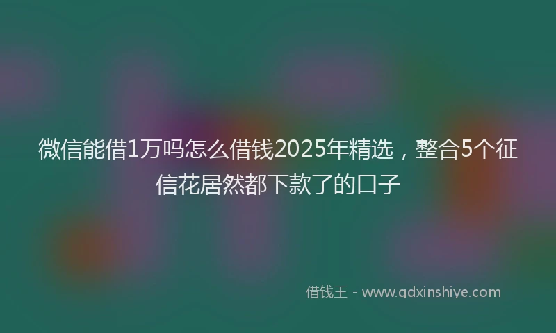 微信能借1万吗怎么借钱2025年精选，整合5个征信花居然都下款了的口子
