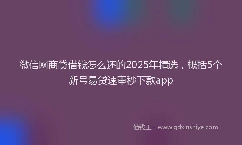 微信网商贷借钱怎么还的2025年精选，概括5个新号易贷速审秒下款app