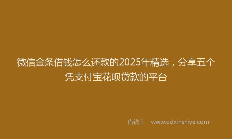 微信金条借钱怎么还款的2025年精选，分享五个凭支付宝花呗贷款的平台