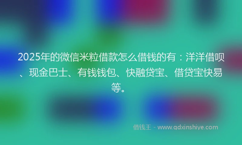 2025年的微信米粒借款怎么借钱的有：洋洋借呗、现金巴士、有钱钱包、快融贷宝、借贷宝快易等。