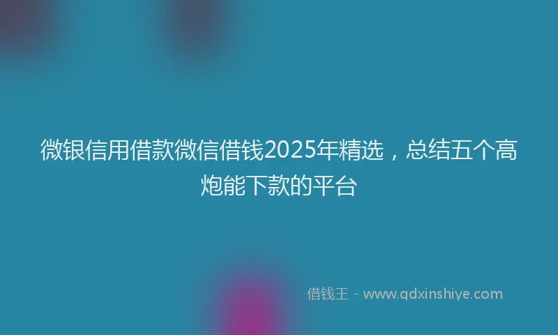 微银信用借款微信借钱2025年精选，总结五个高炮能下款的平台
