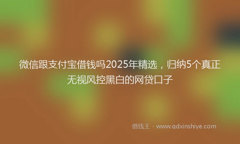 微信跟支付宝借钱吗2025年精选，归纳5个真正无视风控黑白的网贷口子