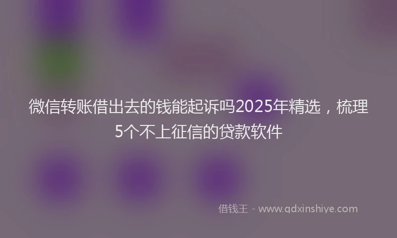 微信转账借出去的钱能起诉吗2025年精选，梳理5个不上征信的贷款软件