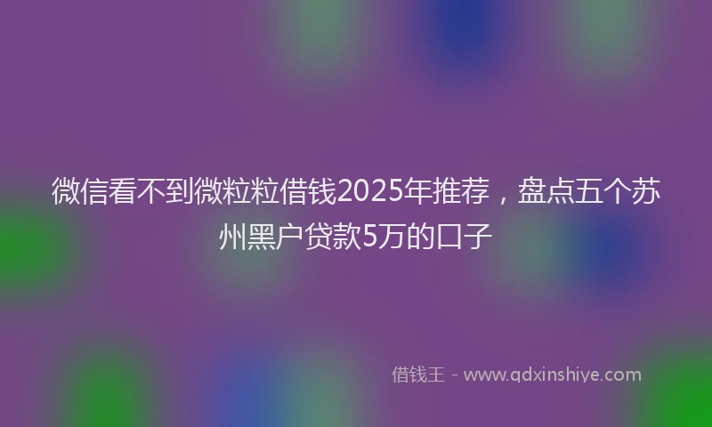 微信看不到微粒粒借钱2025年推荐，盘点五个苏州黑户贷款5万的口子