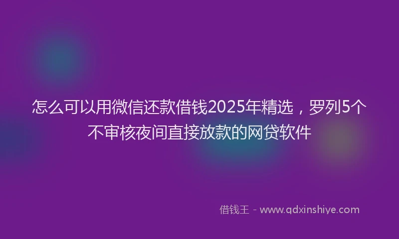 怎么可以用微信还款借钱2025年精选，罗列5个不审核夜间直接放款的网贷软件