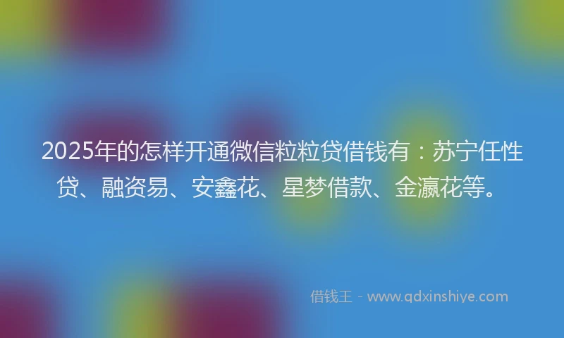 2025年的怎样开通微信粒粒贷借钱有：苏宁任性贷、融资易、安鑫花、星梦借款、金瀛花等。
