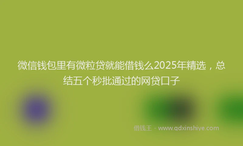 微信钱包里有微粒贷就能借钱么2025年精选，总结五个秒批通过的网贷口子