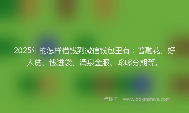2025年的怎样借钱到微信钱包里有：普融花、好人贷、钱进袋、涌泉金服、哆哆分期等。