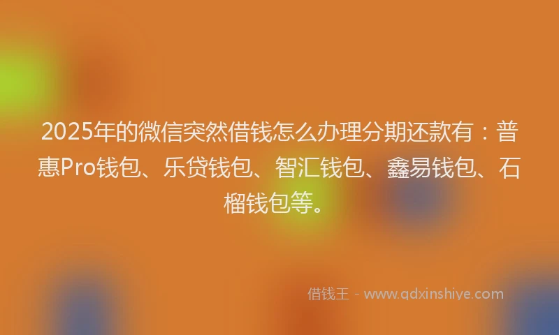 2025年的微信突然借钱怎么办理分期还款有：普惠Pro钱包、乐贷钱包、智汇钱包、鑫易钱包、石榴钱包等。